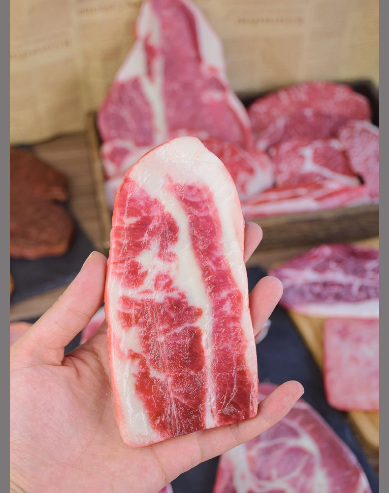 Realistic Fake Sliced Meat - S - Photography Food review and price