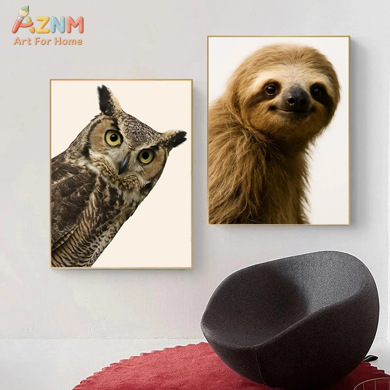 Interesting And Humorous Anima - Photography Interest review and price