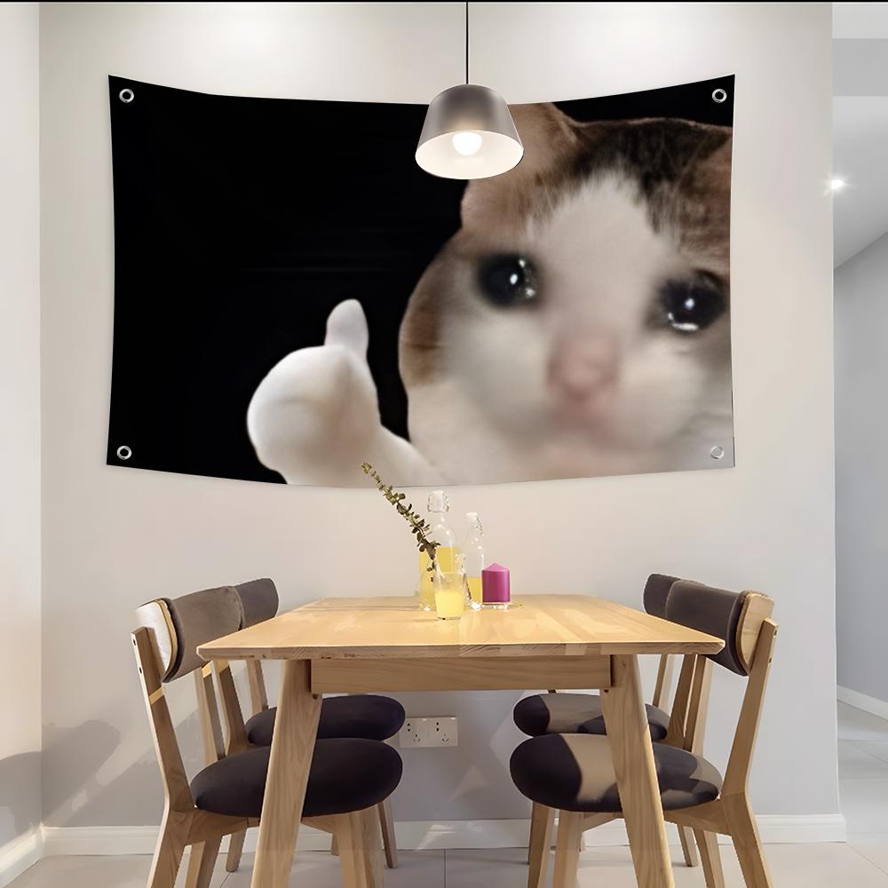 Interesting Cat Photography Fl - Photography Interest review and price