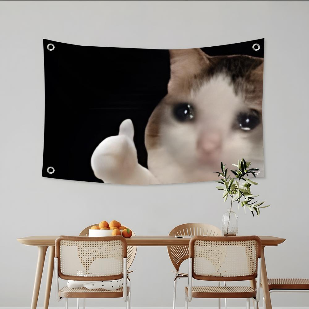 Interesting Cat Photography Fl - Photography Interest review and price
