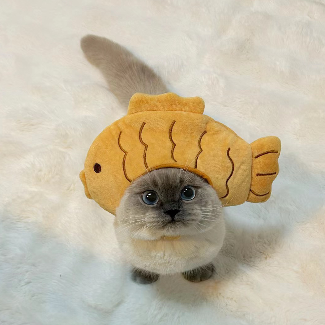 1pcs Interesting pet headwear  - Photography Interest review and price